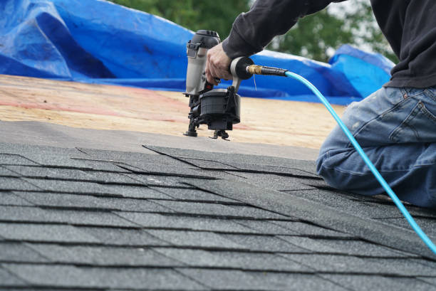 Best Asphalt Shingle Roofing  in Cleary, MS